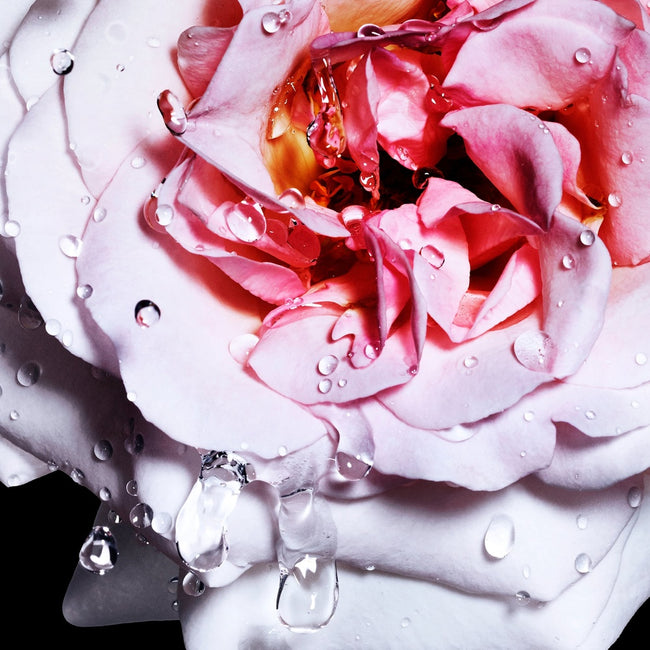 Davidoff Cool Water Reborn Woman woda toaletowa