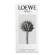 Loewe Solo woda toaletowa