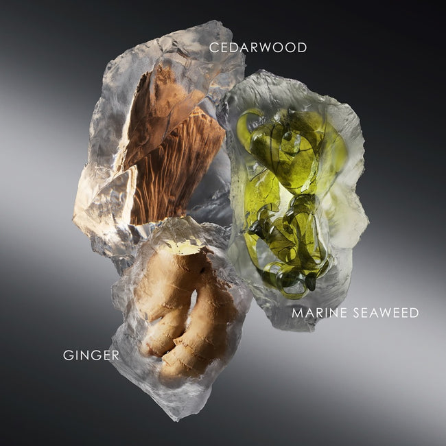 Issey Miyake Le Sel D'issey woda toaletowa refillable