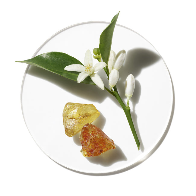 Clinique Aromatics in White woda perfumowana