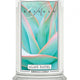 Kringle Candle Duża świeca zapachowa z dwoma knotami Agave Pastel 623g