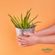 Equilibra Aloe Dermo-Bath Gel aloesowy żel do kąpieli nawilżający 400ml