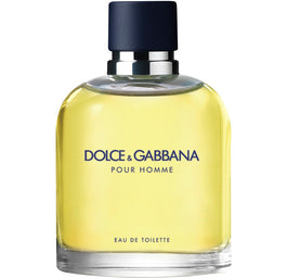 Dolce & Gabbana Pour Homme woda toaletowa spray 75ml