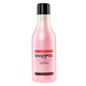 Stapiz Basic Salon Fruit Shampoo owocowy szampon do włosów 1000ml
