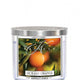 Kringle Candle Tumbler świeca zapachowa z trzema knotami Sicilian Orange 411g