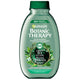 Garnier Botanic Therapy Zielona Herbata Eukaliptus & Cytrus szampon oczyszczający i orzeźwiający 400ml
