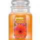 Country Candle Duża świeca zapachowa z dwoma knotami Sunshine & Daisies 652g
