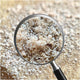Ecocera Under Eye Rice Powder rozświetlający ryżowy puder pod oczy Medium 4g