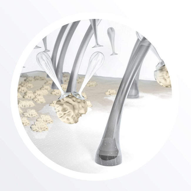 NIOXIN System 2 Cleanser Shampoo oczyszczający szampon do włosów normalnych znacznie przerzedzonych 300ml