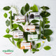 Equilibra Aloe 100% Vegetal Soap aloesowe mydło 100g