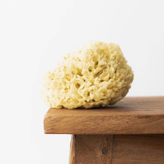 HHUUMM Naturalna gąbka morska 04H 9.5cm Żółta