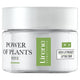 Lirene Power of Plants krem liftingujący Róża 50ml