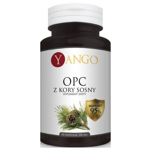 Yango OPC Ekstrakt 95% z Kory Sosny 100mg suplement diety 60 kapsułek