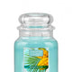 Country Candle Średnia świeca zapachowa z dwoma knotami Mango Nectar 453g