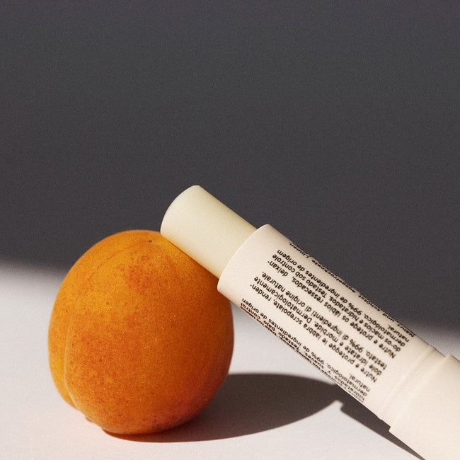 Embryolisse Protective Repair Stick regenerujący balsam do ust w sztyfcie 4g