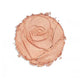 Physicians Formula Rose All Day Petal Glow rozświetlacz do twarzy i ciała Petal Pink 9.2g