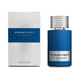 Emanuel Ungaro L'Homme woda toaletowa spray 100ml