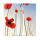 Kenzo Flower by Kenzo woda toaletowa spray 100ml