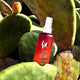 Yope Organic Mist hydrolat Róża + Kaktus 100ml
