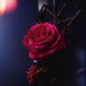 Lancome Tresor La Nuit A La Folie woda perfumowana spray 30ml