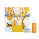 Lumene Nordic-C Valo Glow Treasures zestaw Glow Boost Essence 30ml + Glow Reveal Moisturizer 50ml
