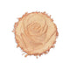Physicians Formula Rose All Day Petal Glow rozświetlacz do twarzy i ciała Freshly Picked 9.2g