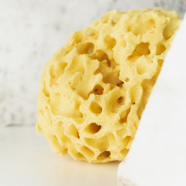 HHUUMM Naturalna gąbka morska 04H 9.5cm Żółta