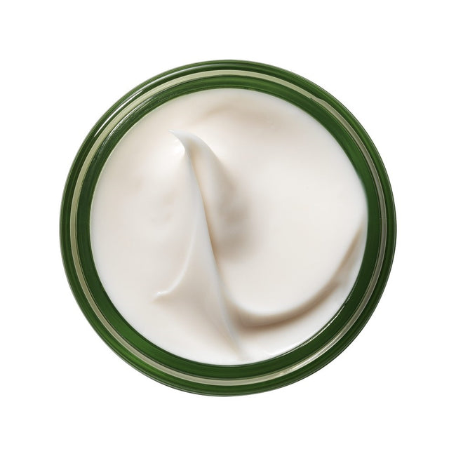 Origins A Perfect World™ Antioxidant Moisturizer With White Tea antyoksydacyjny krem nawilżający 50ml