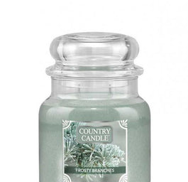Country Candle Średnia świeca zapachowa z dwoma knotami Frosty Branches 453g