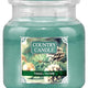 Country Candle Średnia świeca zapachowa z dwoma knotami Tinsel Thyme 453g