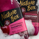 Nature Box Cherry Oil wygładzająca odżywka do włosów kręconych i pofalowanych z olejem z wiśni 385ml