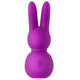 FemmeFunn Stubby 2 Massager mini wibrator punktu G + masażer typu króliczek Purple
