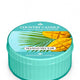 Country Candle Daylight świeczka zapachowa Mango Nectar 42g