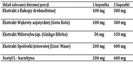 Doctor Life Brain Support jasność umysłu i regeneracja suplement diety 90 kapsułek