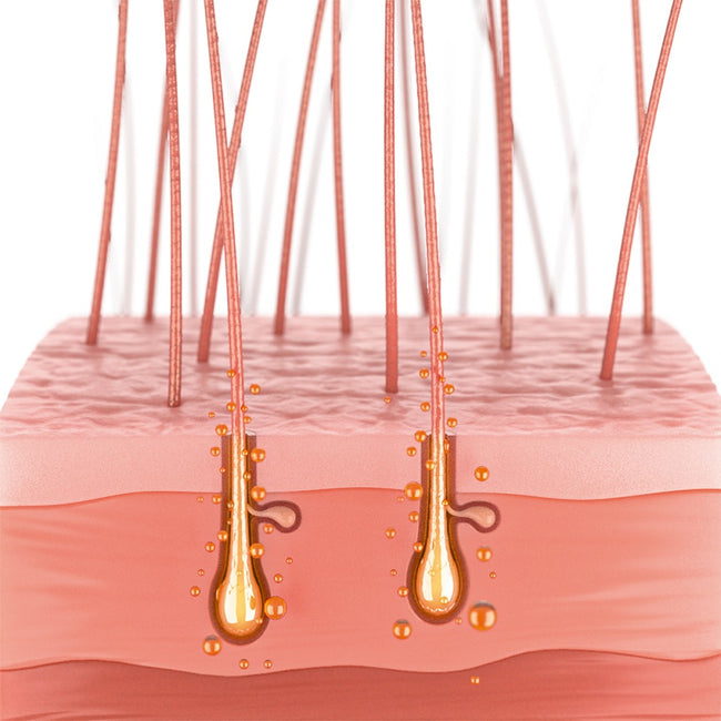 Schwarzkopf Professional BC Bonacure Time Restore Shampoo delikatnie oczyszczający szampon do włosów dojrzałych 1000ml