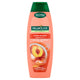 PALMOLIVE Naturals Hydra Balance szampon z odżywką do każdego typu włosów 350ml