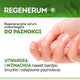 Regenerum Regeneracyjne serum utwardzające do paznokci 8ml