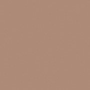 Feerie Celeste Bewitched Bronze bronzer do twarzy 110 Ancient Amber 9g