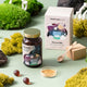 HealthLabs ShroomMe Lion's Mane & Chaga energia i poprawa koncentracji suplement diety 90 porcji