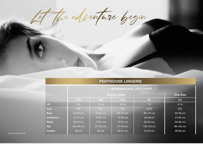 Penthouse Special Extra pończochy z pasem Black S-L